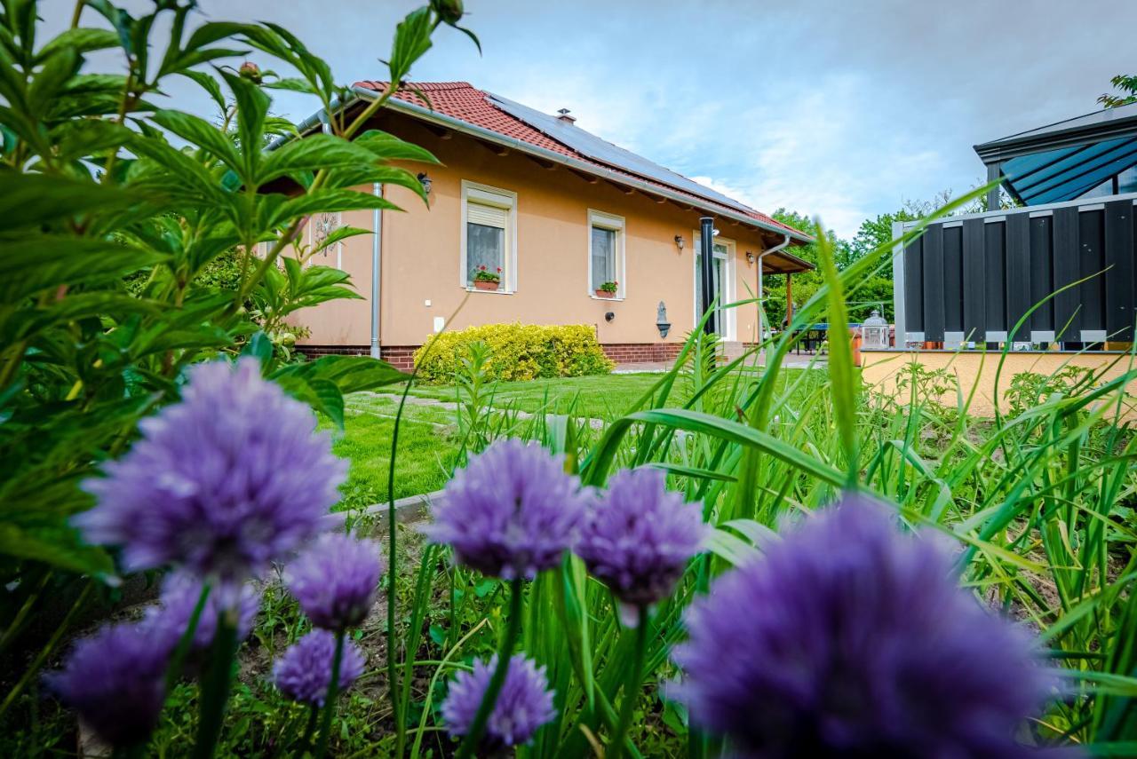 Вилла Sunny Garden Pihenohaz Шиофок Экстерьер фото
