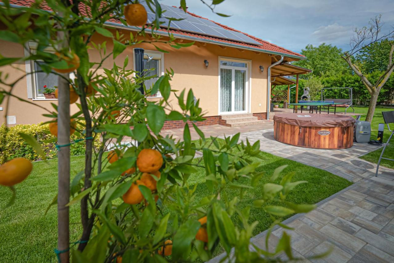 Вилла Sunny Garden Pihenohaz Шиофок Экстерьер фото
